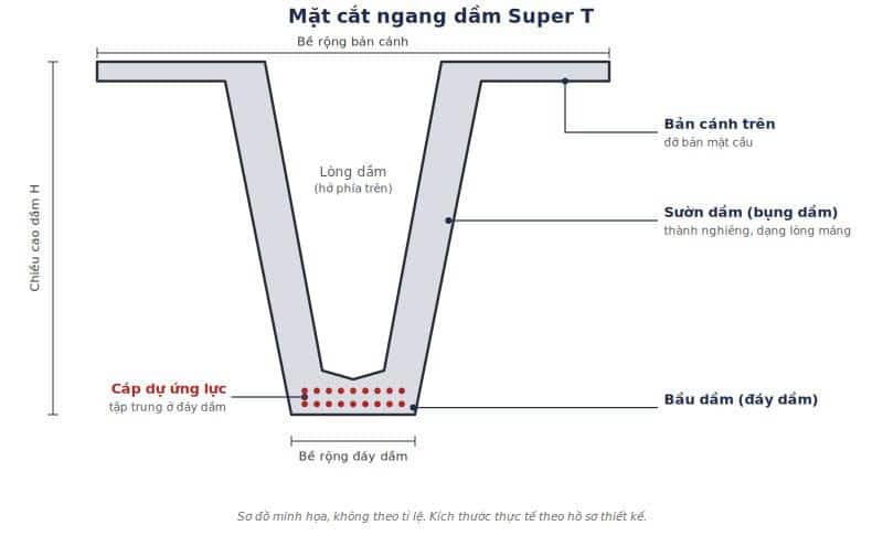 Kích thước mặt cắt ngang dầm Super T